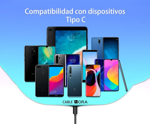 Cargador de 12W con cable USB-C